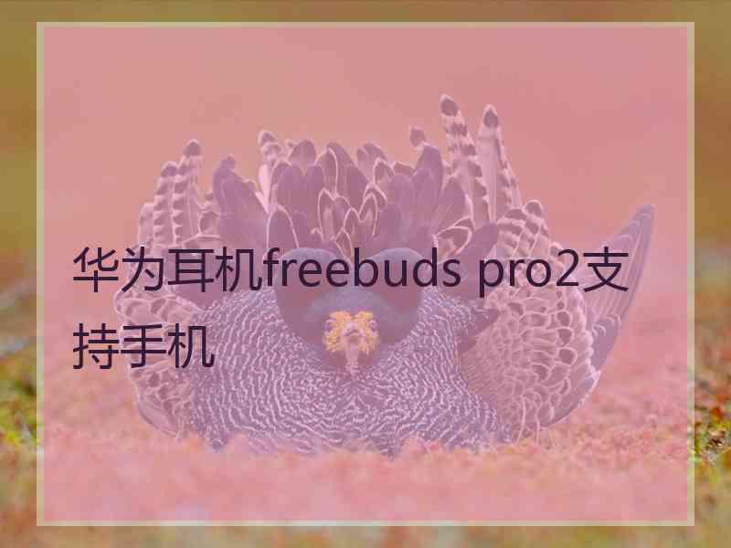 华为耳机freebuds pro2支持手机