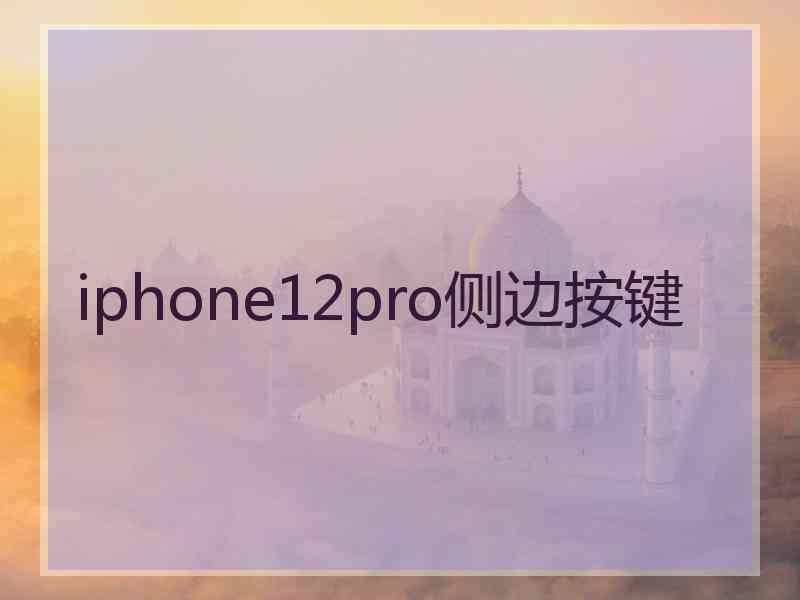 iphone12pro侧边按键