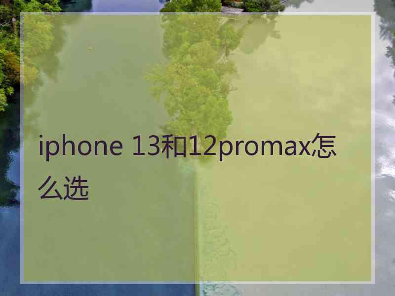 iphone 13和12promax怎么选