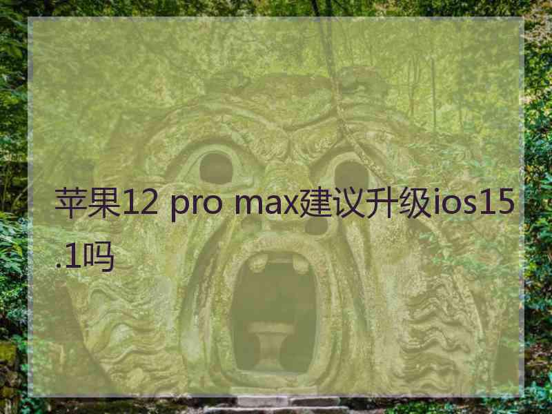 苹果12 pro max建议升级ios15.1吗