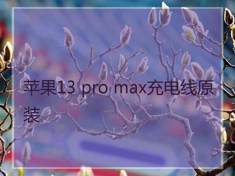 苹果13 pro max充电线原装