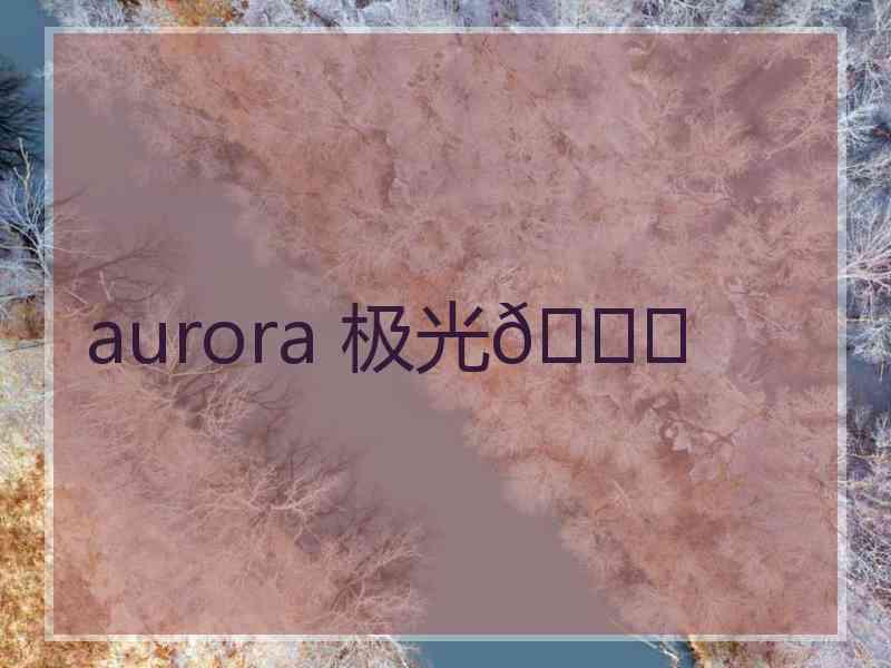 aurora 极光🍑