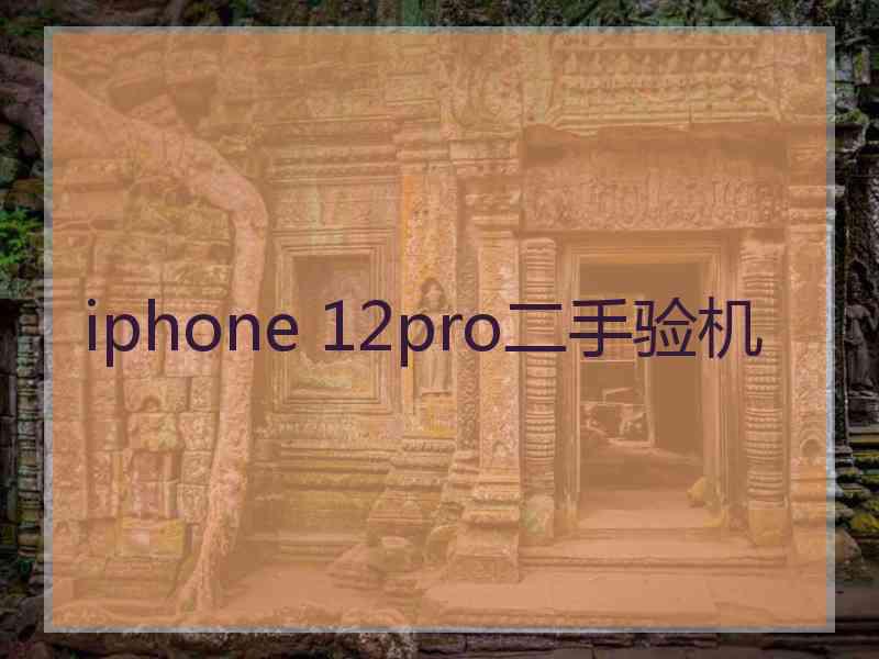 iphone 12pro二手验机