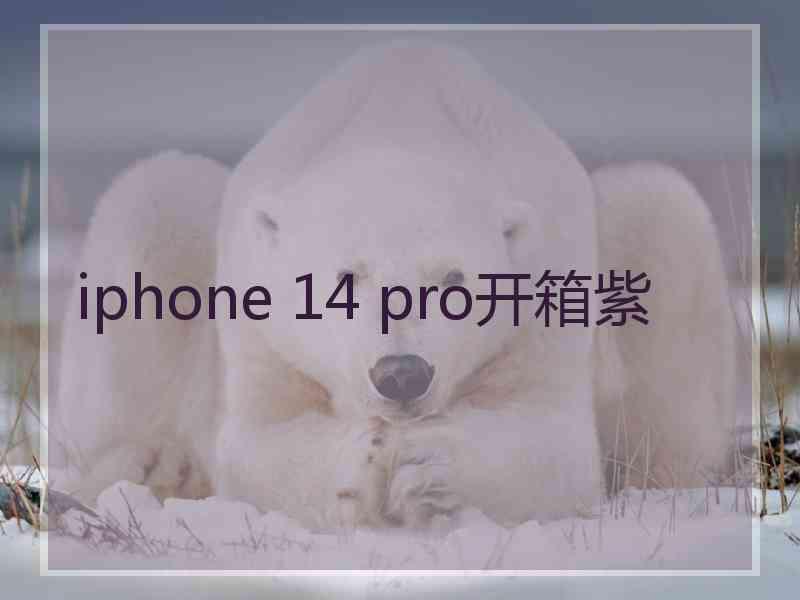 iphone 14 pro开箱紫