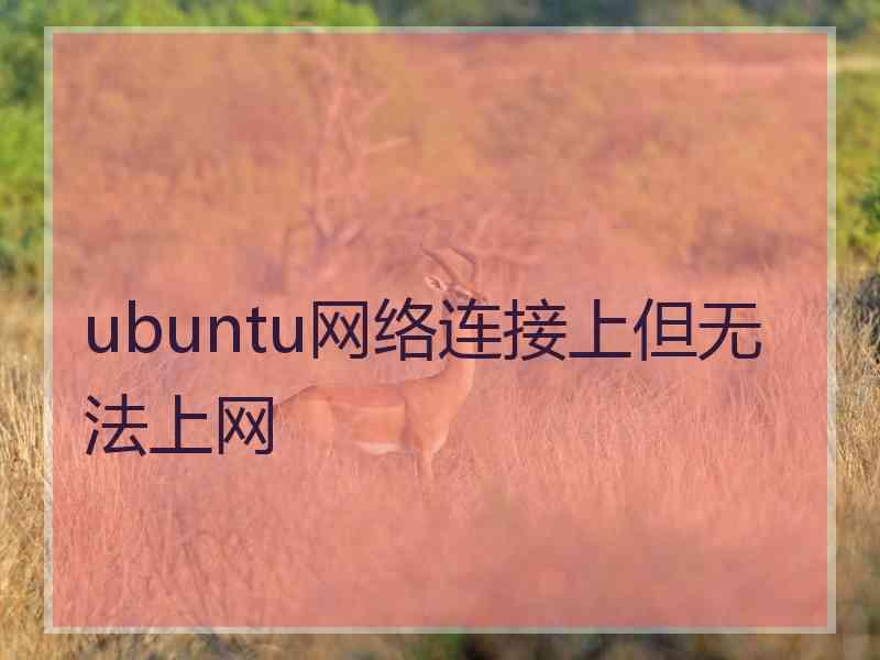 ubuntu网络连接上但无法上网