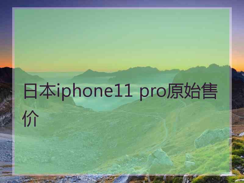 日本iphone11 pro原始售价