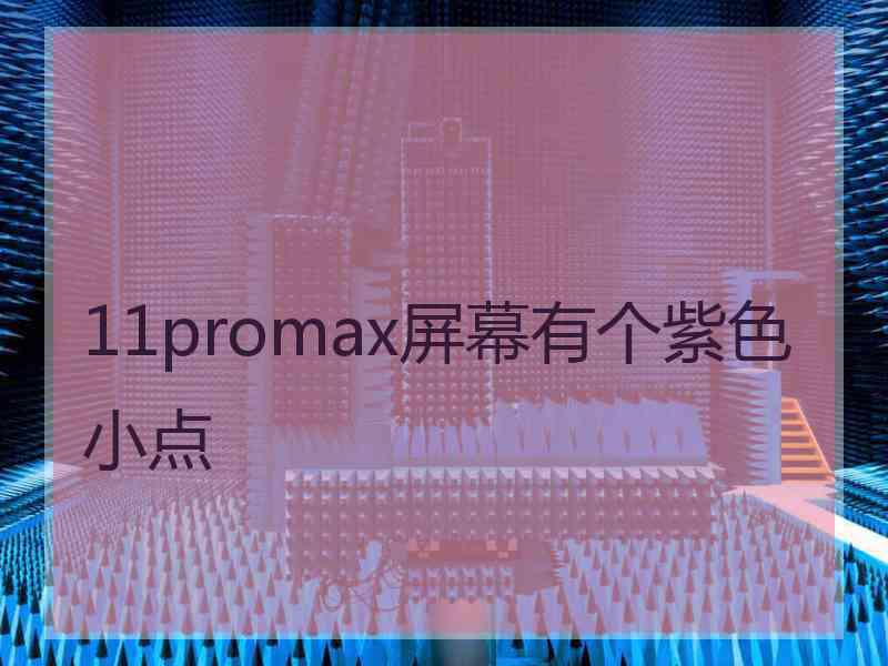 11promax屏幕有个紫色小点