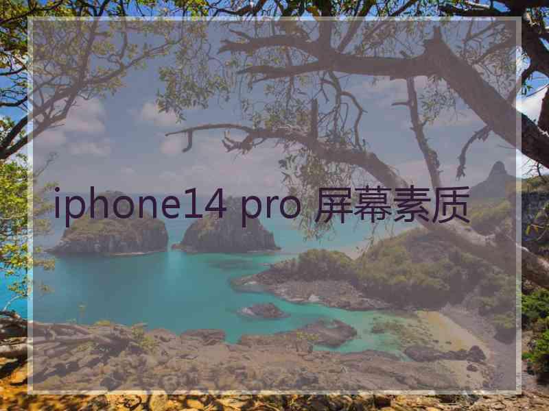 iphone14 pro 屏幕素质