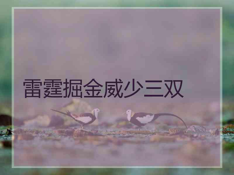 雷霆掘金威少三双