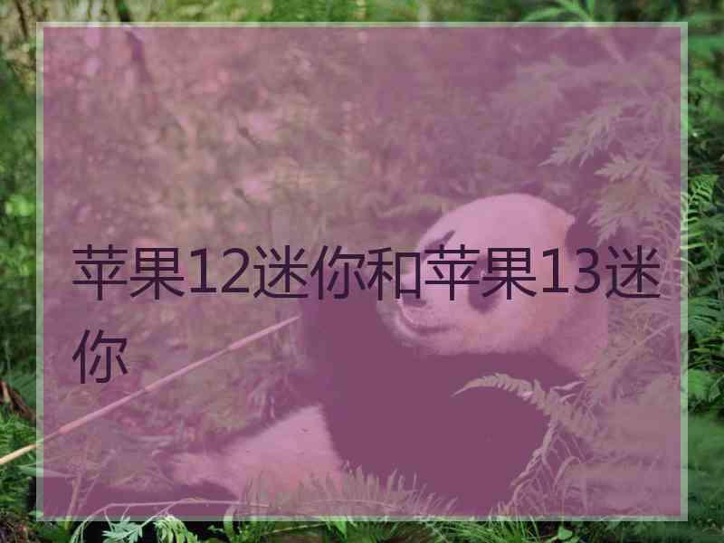 苹果12迷你和苹果13迷你