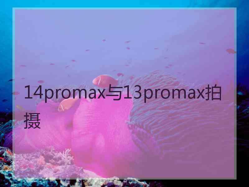 14promax与13promax拍摄