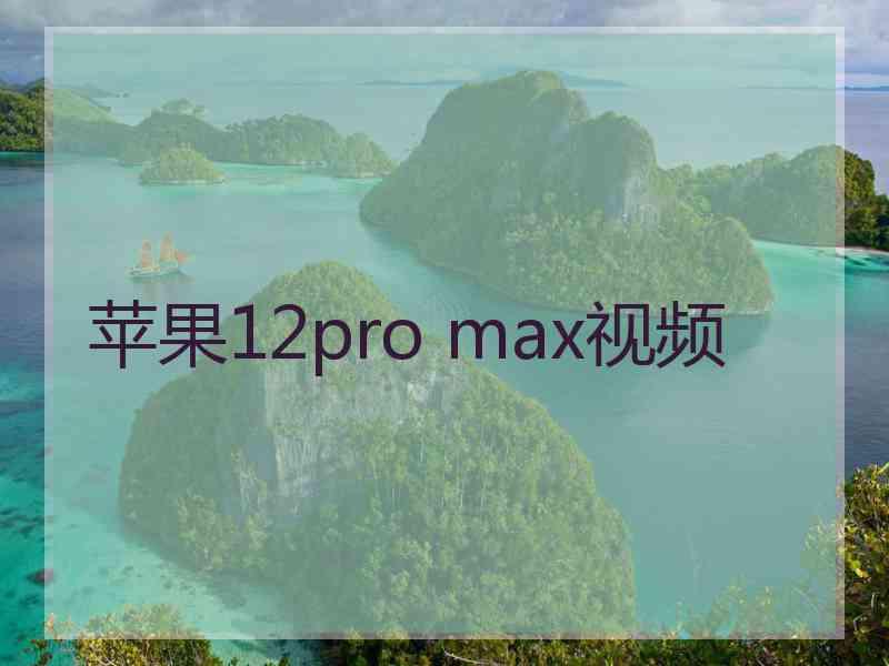 苹果12pro max视频