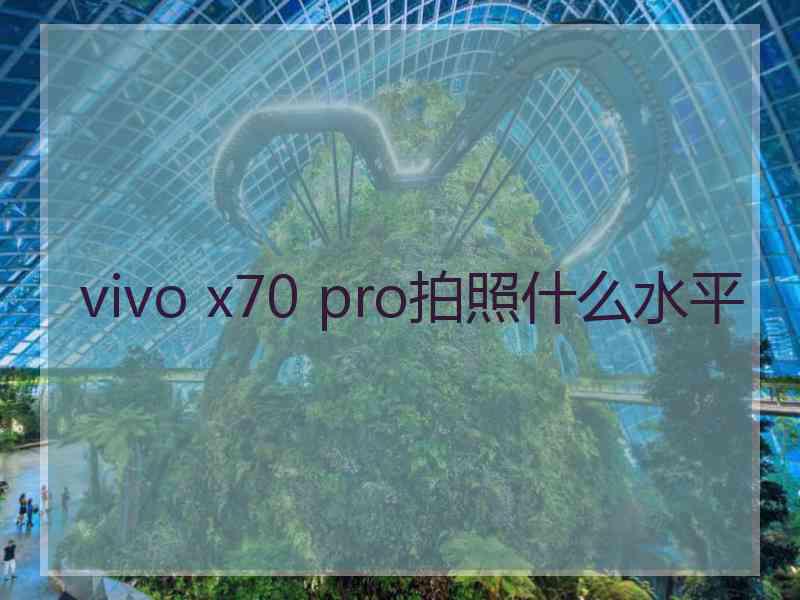 vivo x70 pro拍照什么水平