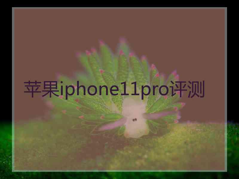 苹果iphone11pro评测