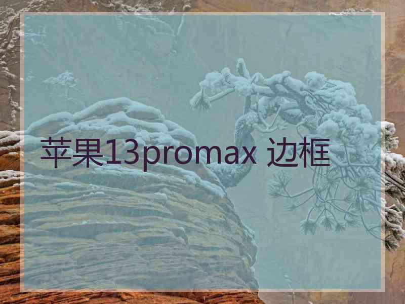 苹果13promax 边框