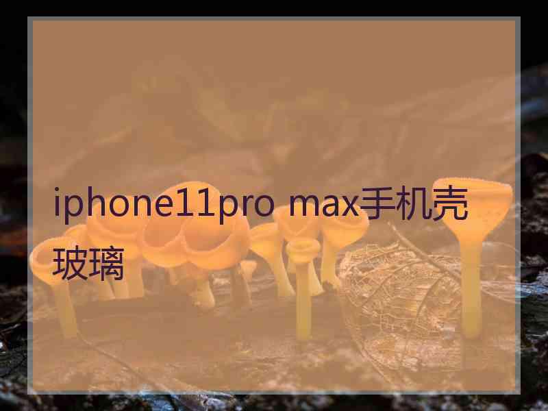 iphone11pro max手机壳玻璃