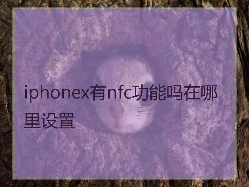 iphonex有nfc功能吗在哪里设置