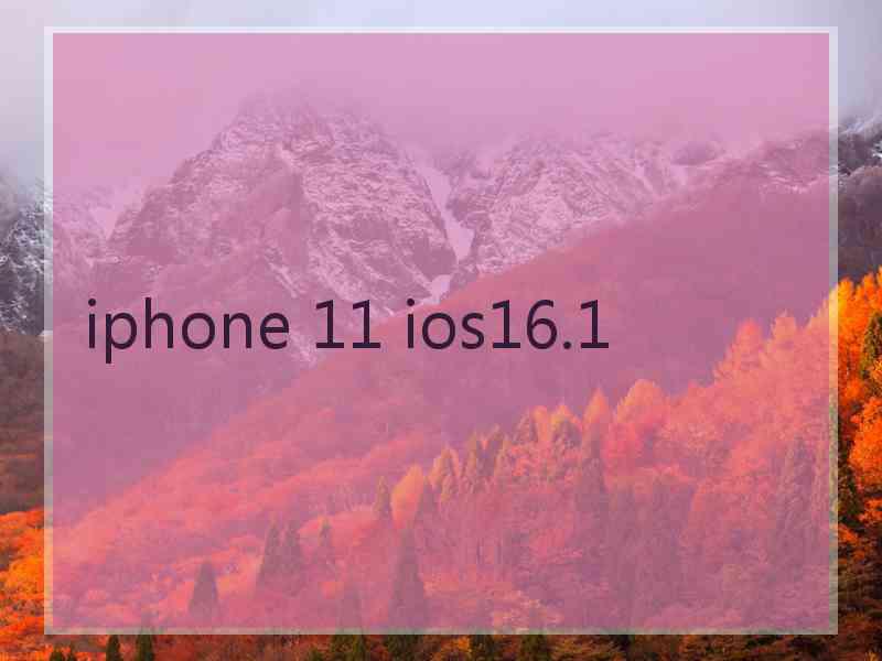 iphone 11 ios16.1