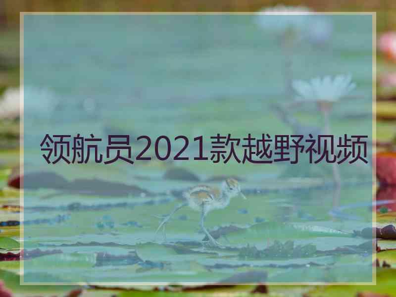 领航员2021款越野视频