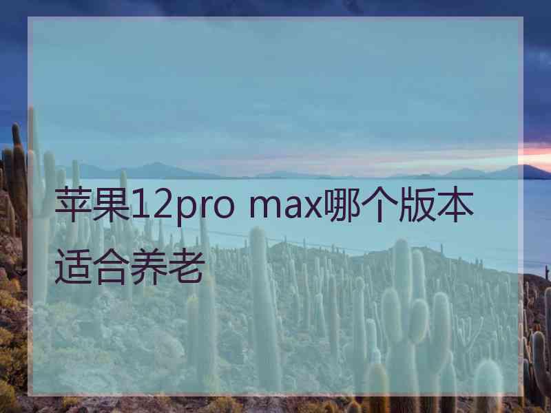 苹果12pro max哪个版本适合养老