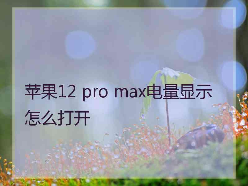 苹果12 pro max电量显示怎么打开