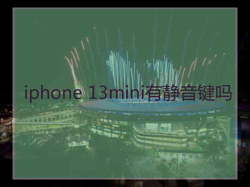 iphone 13mini有静音键吗