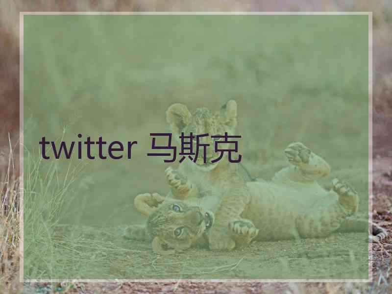 twitter 马斯克