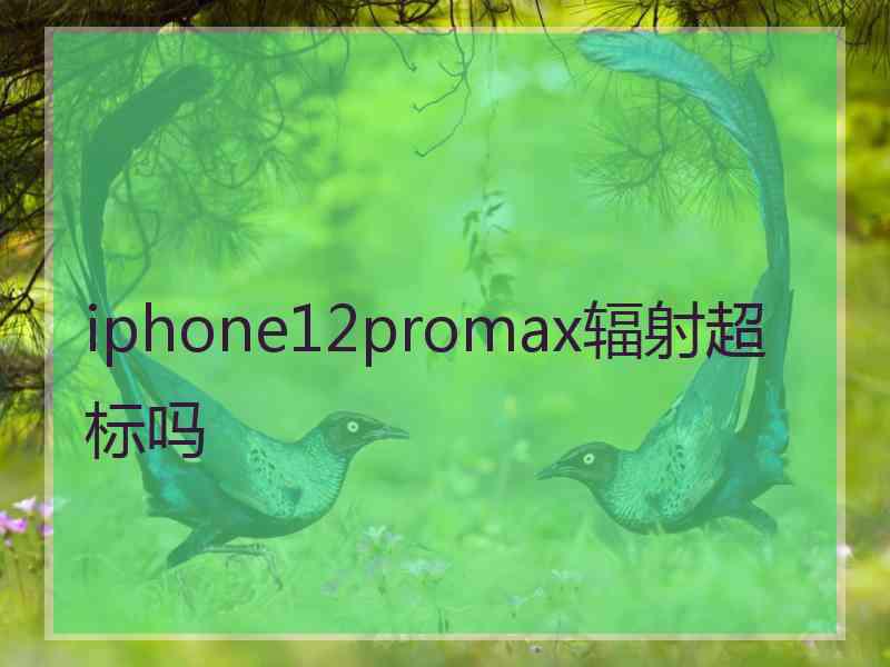 iphone12promax辐射超标吗