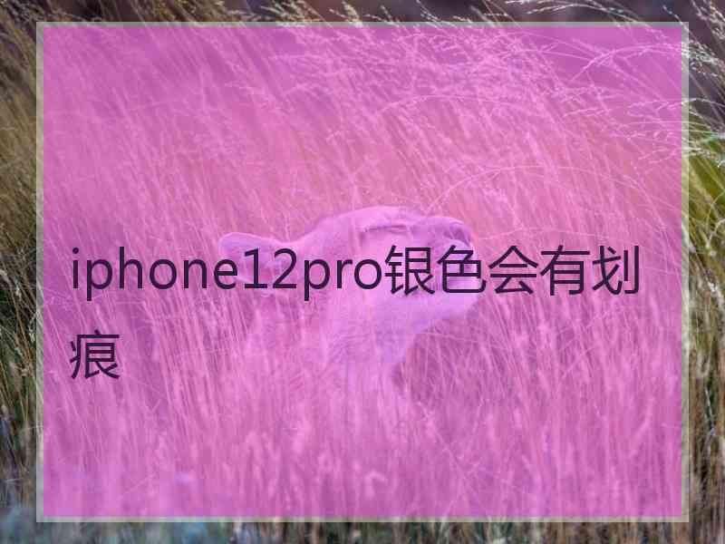 iphone12pro银色会有划痕