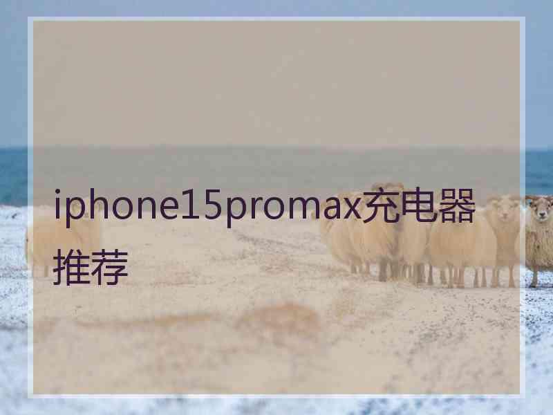 iphone15promax充电器推荐