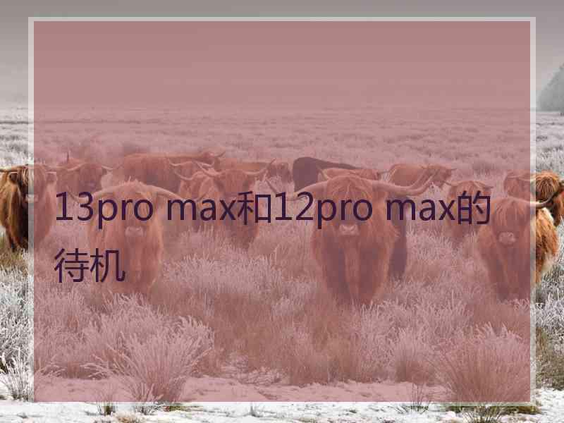 13pro max和12pro max的待机