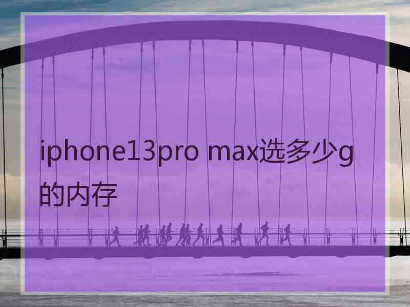 iphone13pro max选多少g的内存