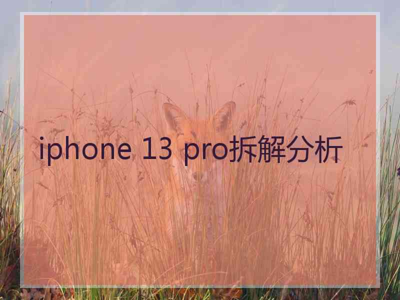 iphone 13 pro拆解分析