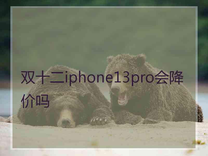 双十二iphone13pro会降价吗