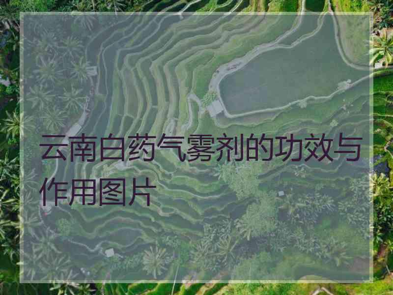 云南白药气雾剂的功效与作用图片