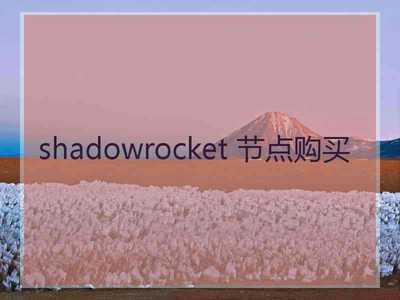 shadowrocket 节点购买