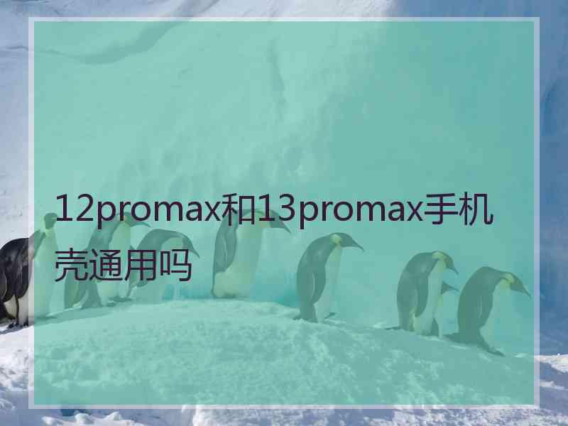 12promax和13promax手机壳通用吗