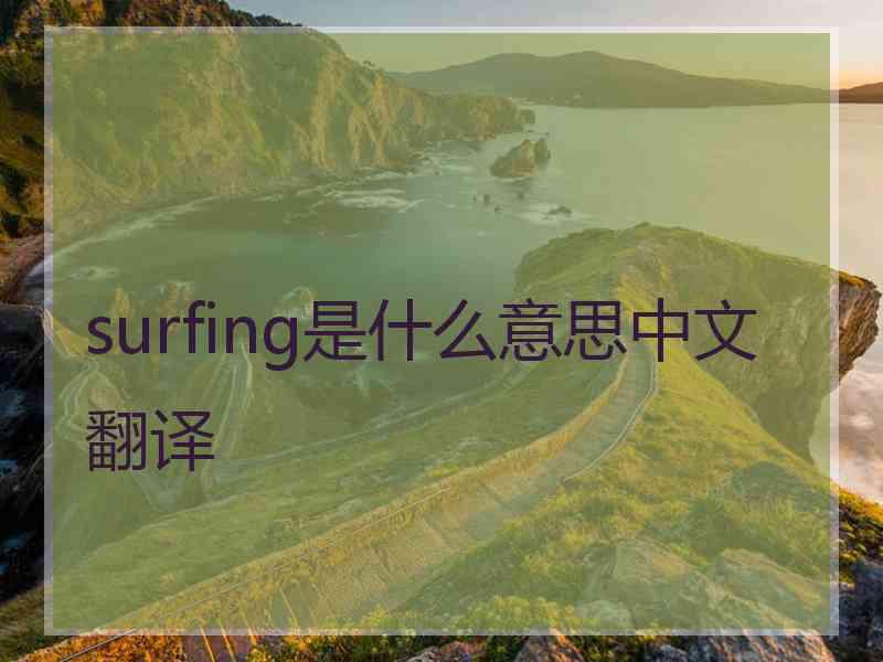 surfing是什么意思中文翻译