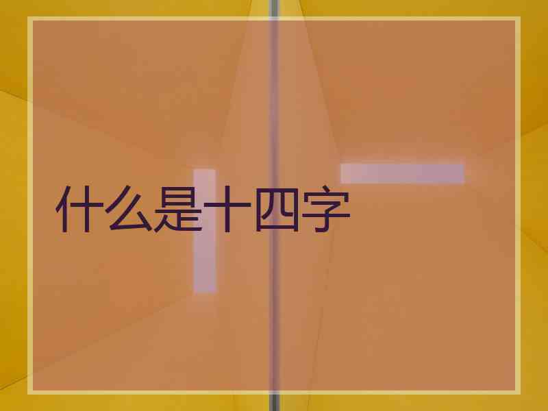 什么是十四字