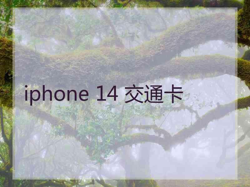 iphone 14 交通卡