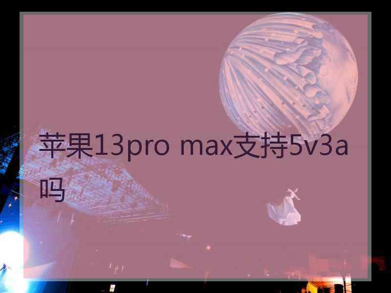 苹果13pro max支持5v3a吗