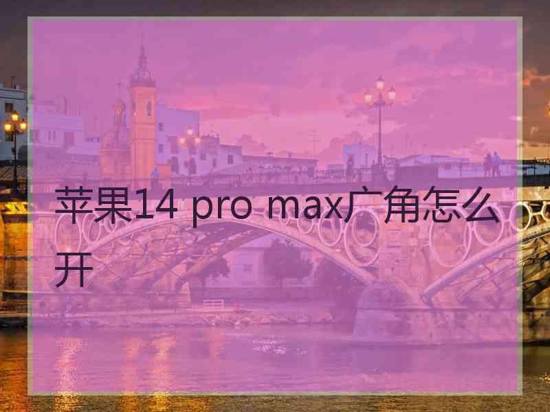 苹果14 pro max广角怎么开