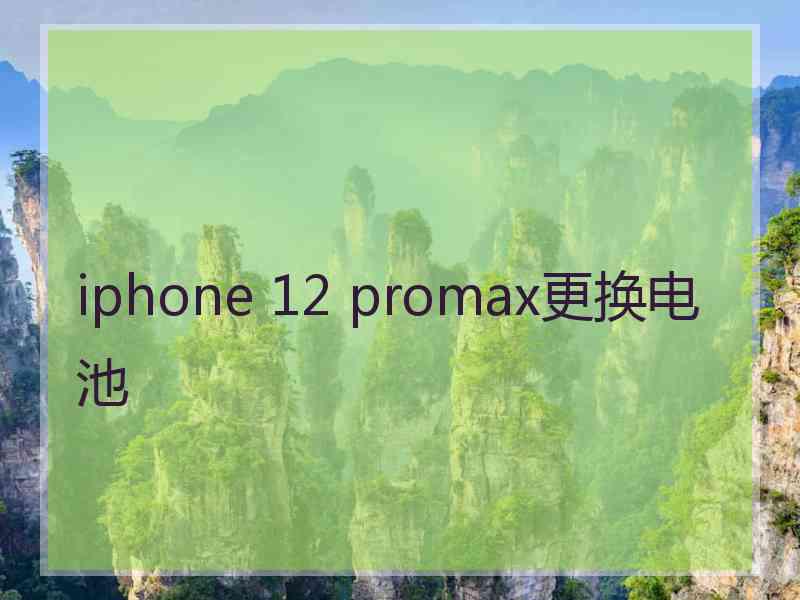 iphone 12 promax更换电池