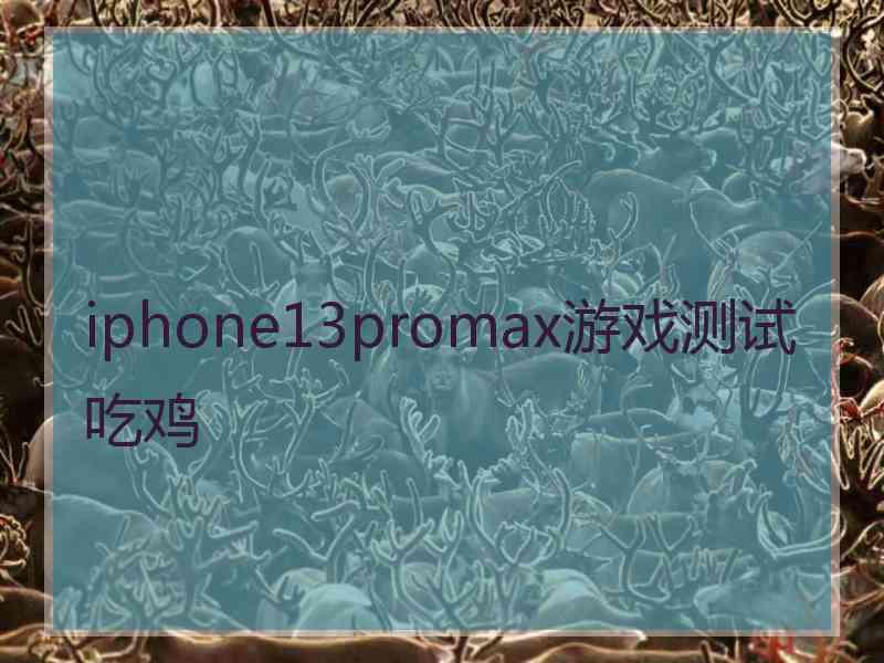 iphone13promax游戏测试吃鸡