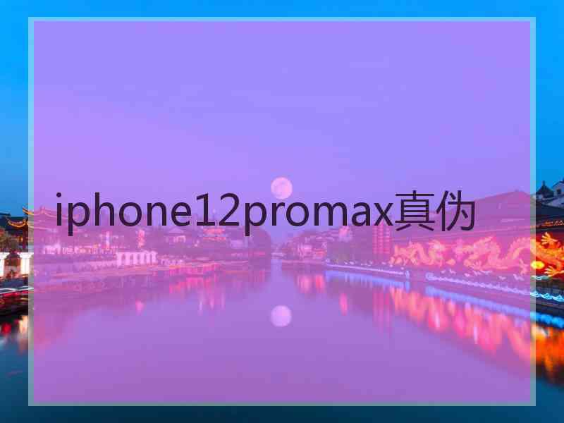 iphone12promax真伪