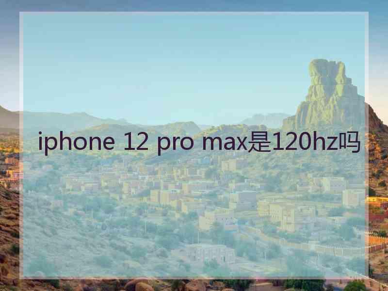 iphone 12 pro max是120hz吗