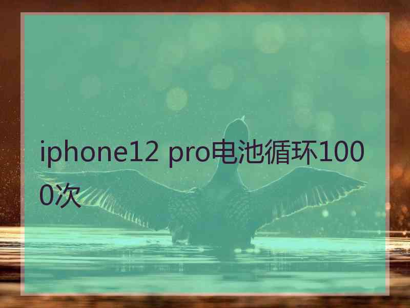 iphone12 pro电池循环1000次