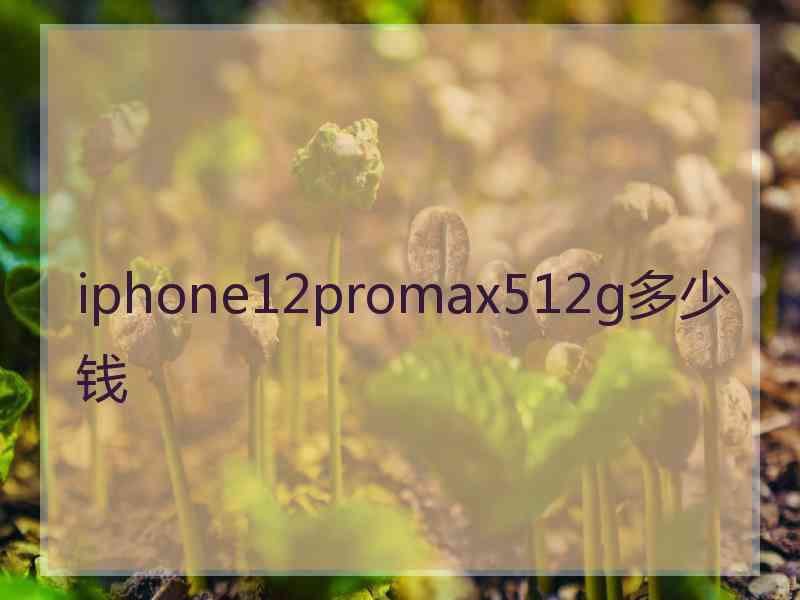 iphone12promax512g多少钱