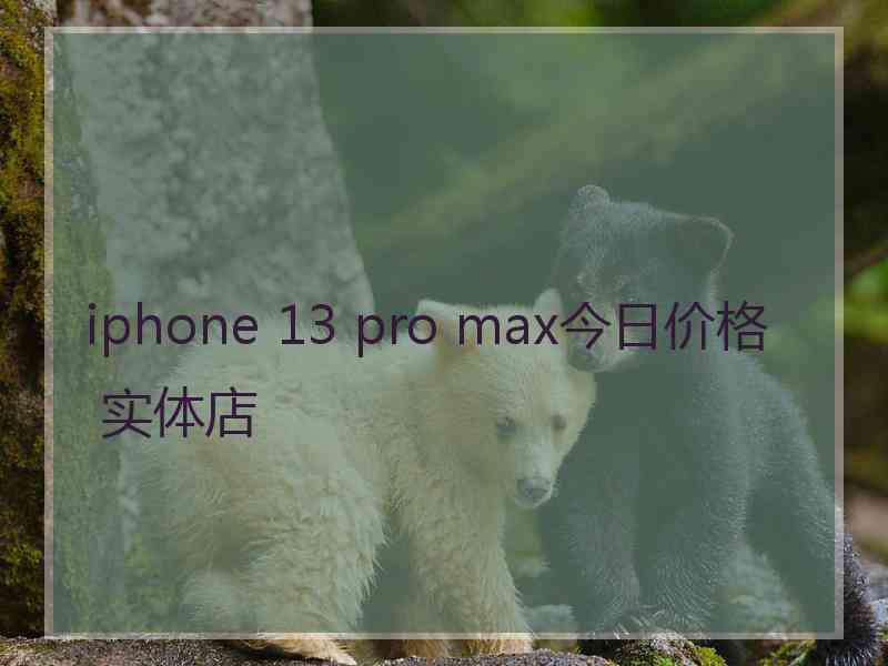 iphone 13 pro max今日价格 实体店