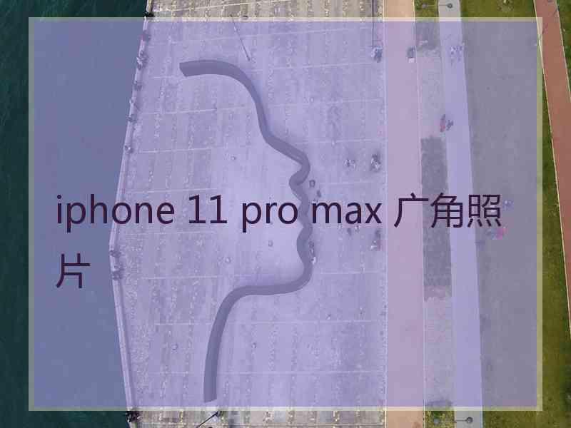 iphone 11 pro max 广角照片